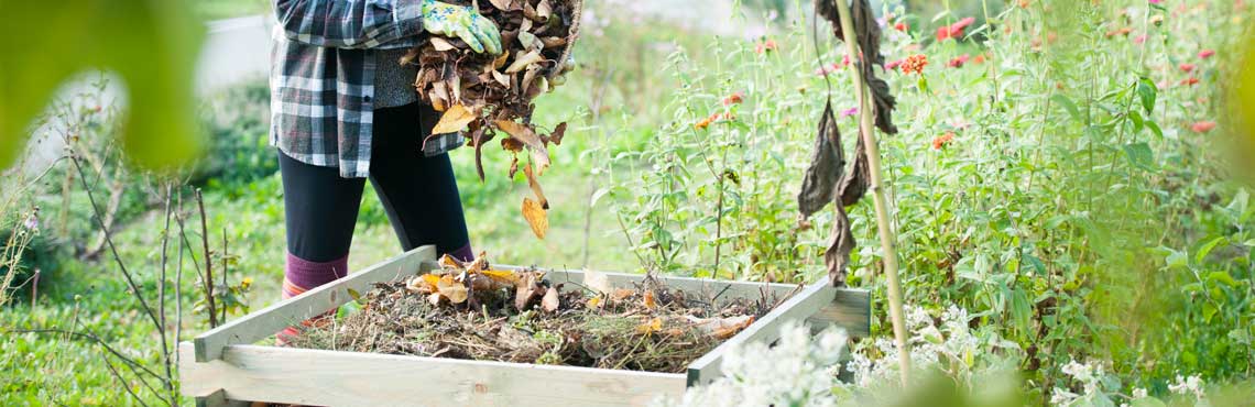 Le compost naturel fait maison